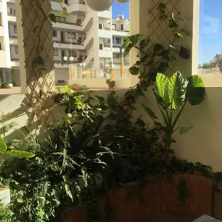 Charmosous Flat 公寓 阿尔布费拉